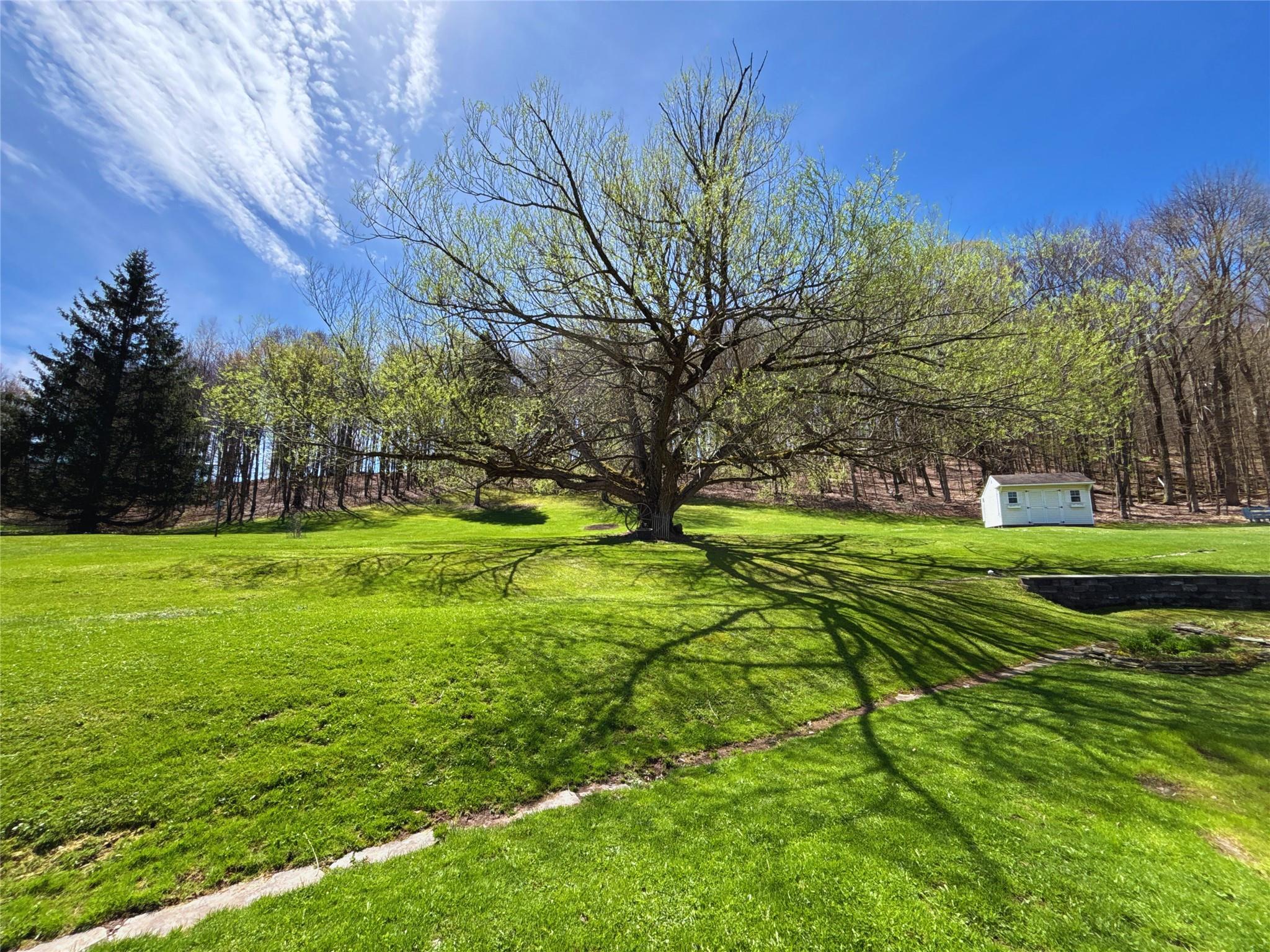 Single Family County Highway 16  Delaware County, NY 13753, MLS-856086-45