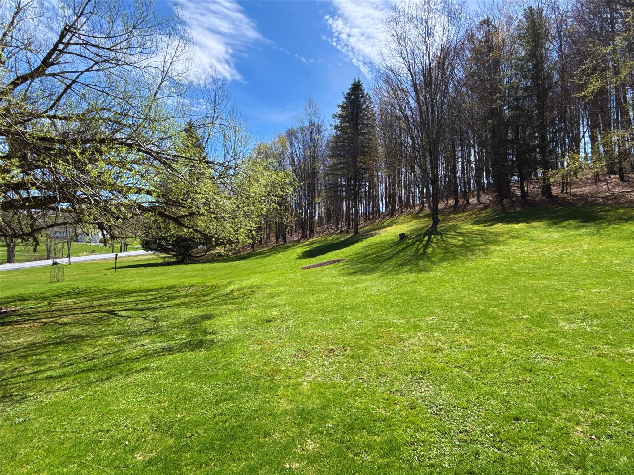 Single Family County Highway 16  Delaware County, NY 13753, MLS-856086-46