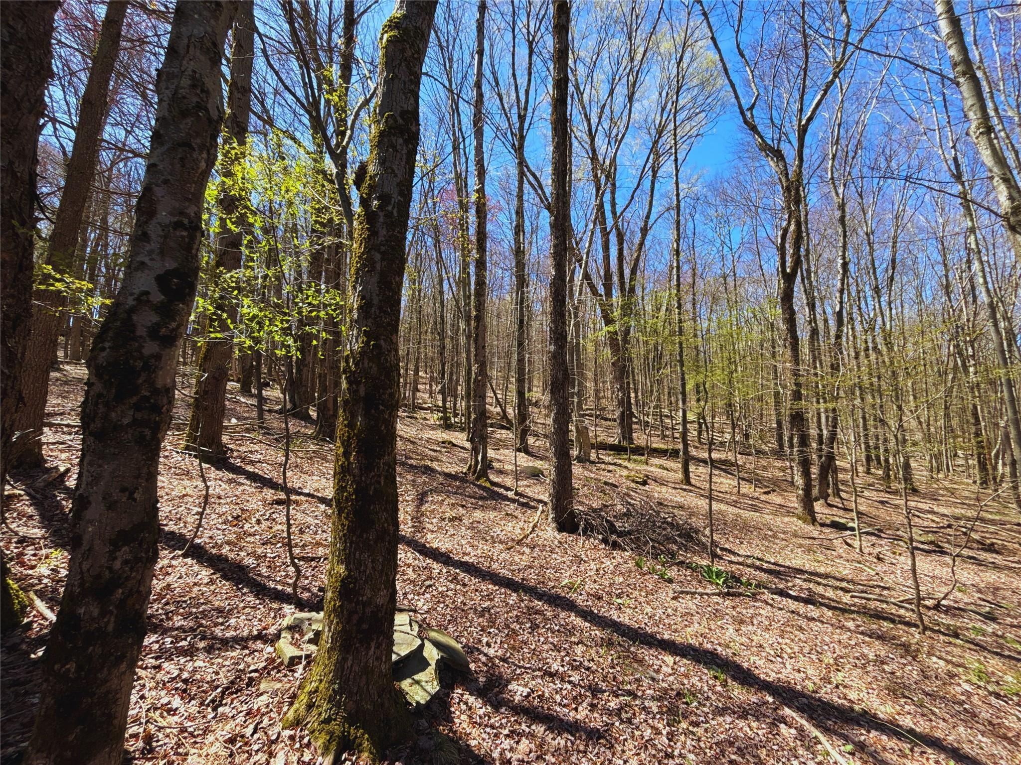 Single Family County Highway 16  Delaware County, NY 13753, MLS-856086-47