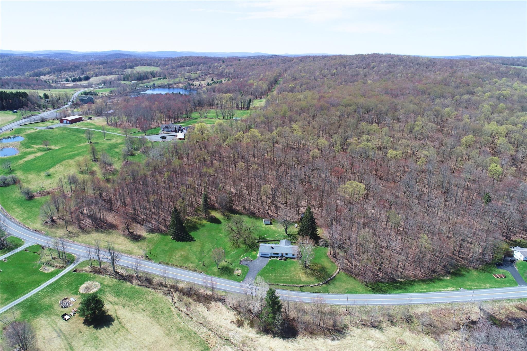 Single Family County Highway 16  Delaware County, NY 13753, MLS-856086-49