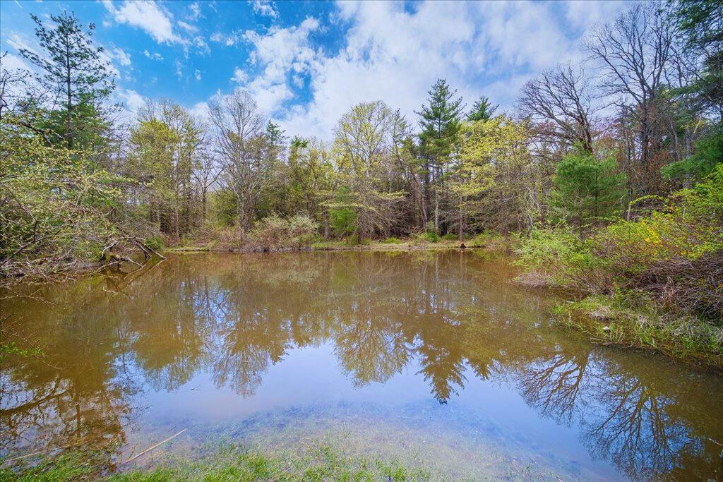Single Family Dubois  Orange County, NY 12566, MLS-856138-43