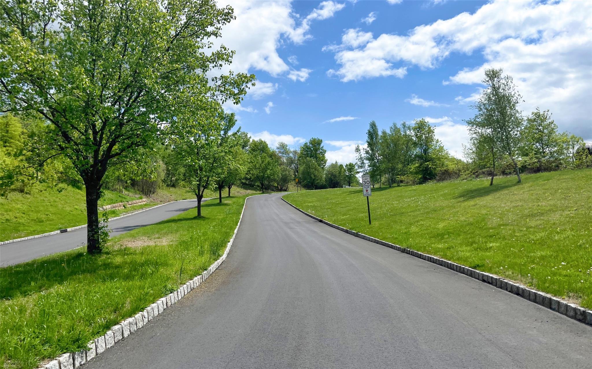 Single Family Fox Hill  Orange County, NY 12575, MLS-856214-38