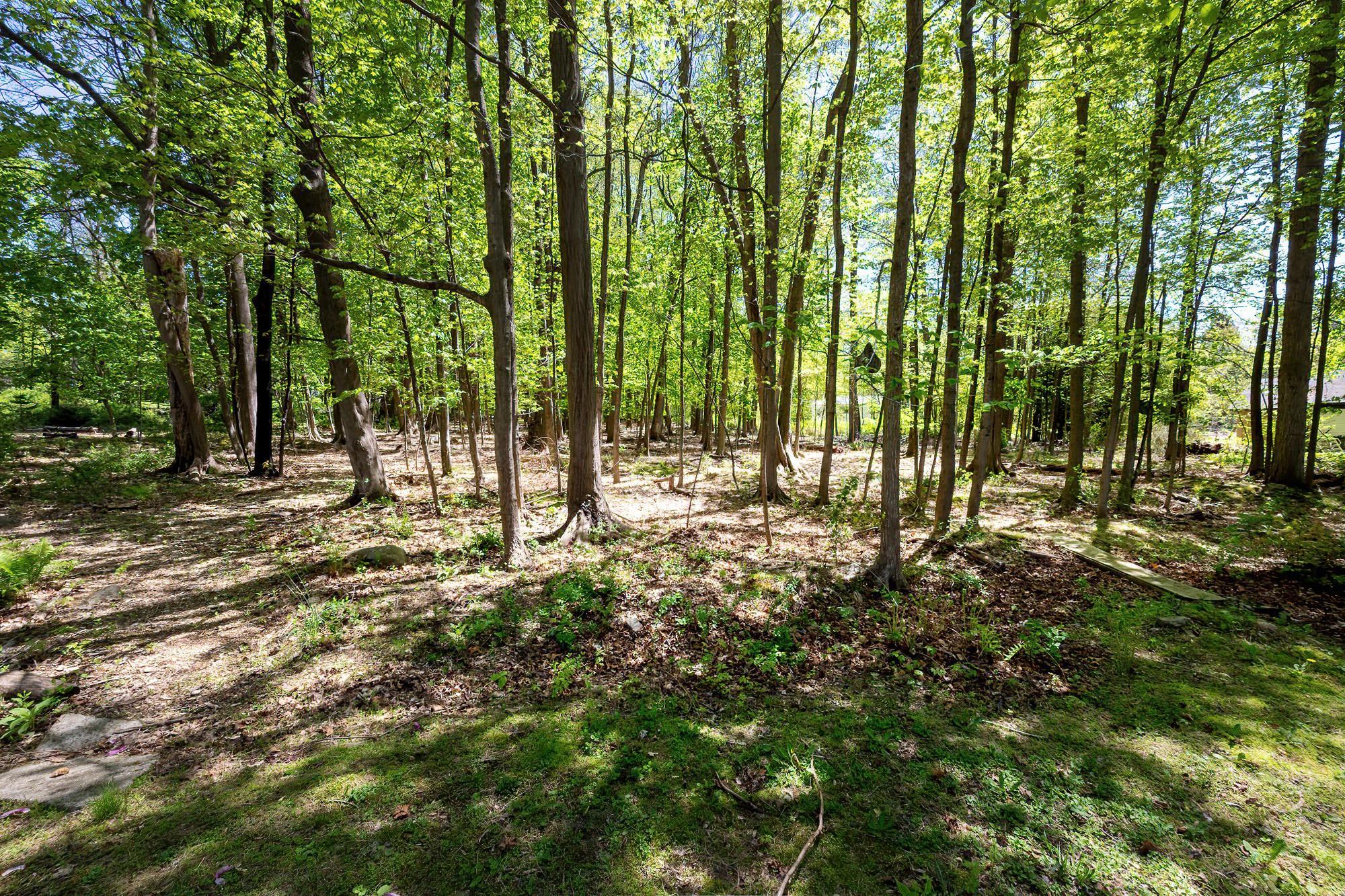 Single Family Lafayette  Westchester County, NY 10567, MLS-856264-31