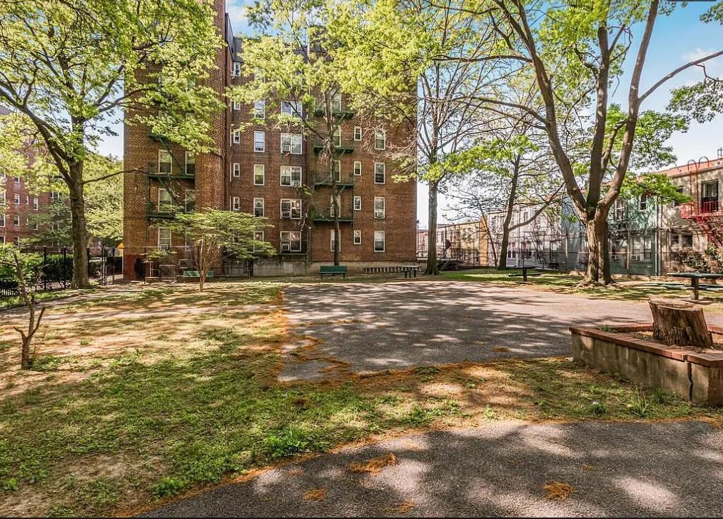 Coop Thieriot  Bronx, NY 10460, MLS-856433-10