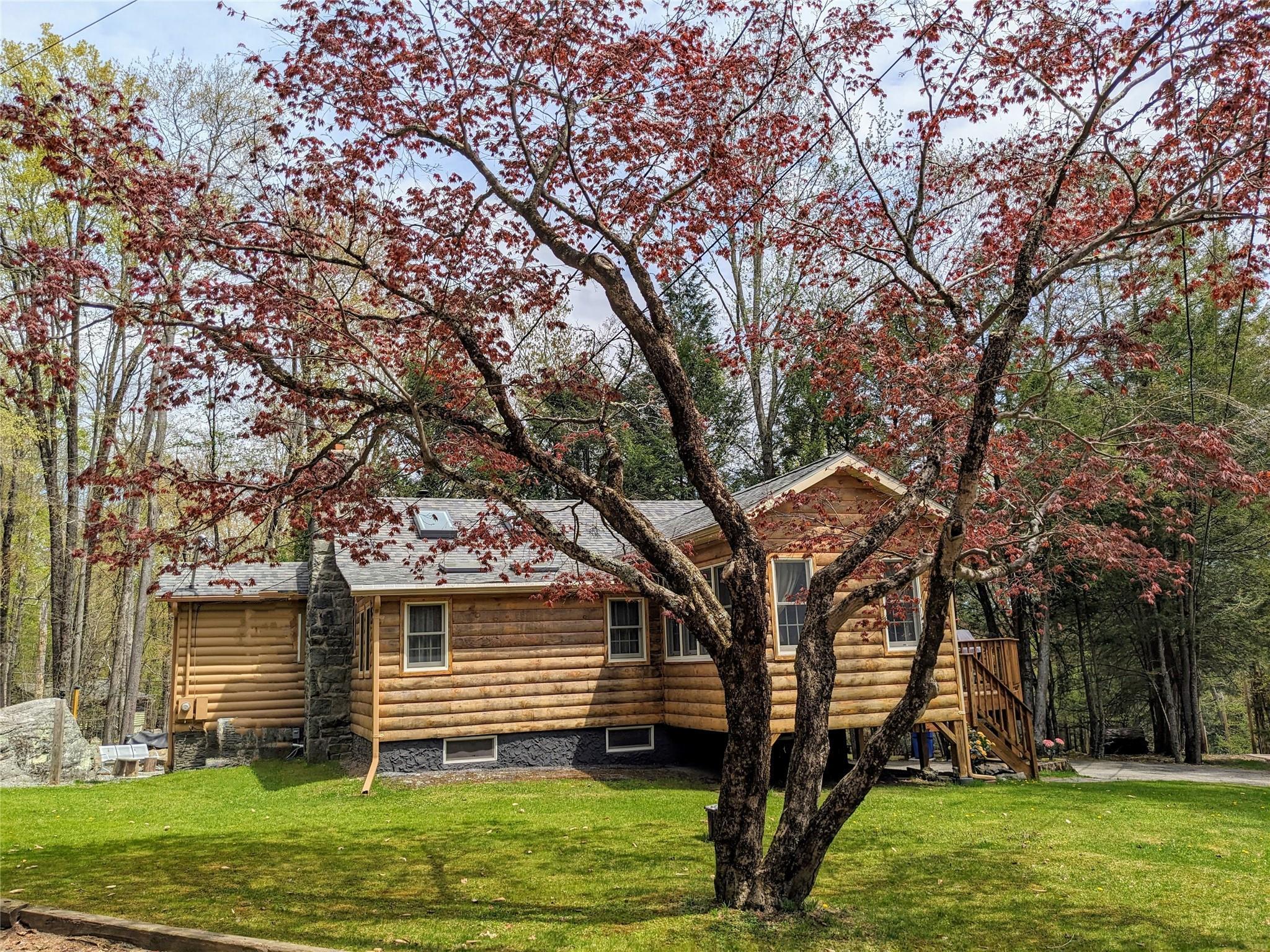 Single Family Reindeer  Sullivan County, NY 12778, MLS-856461-2