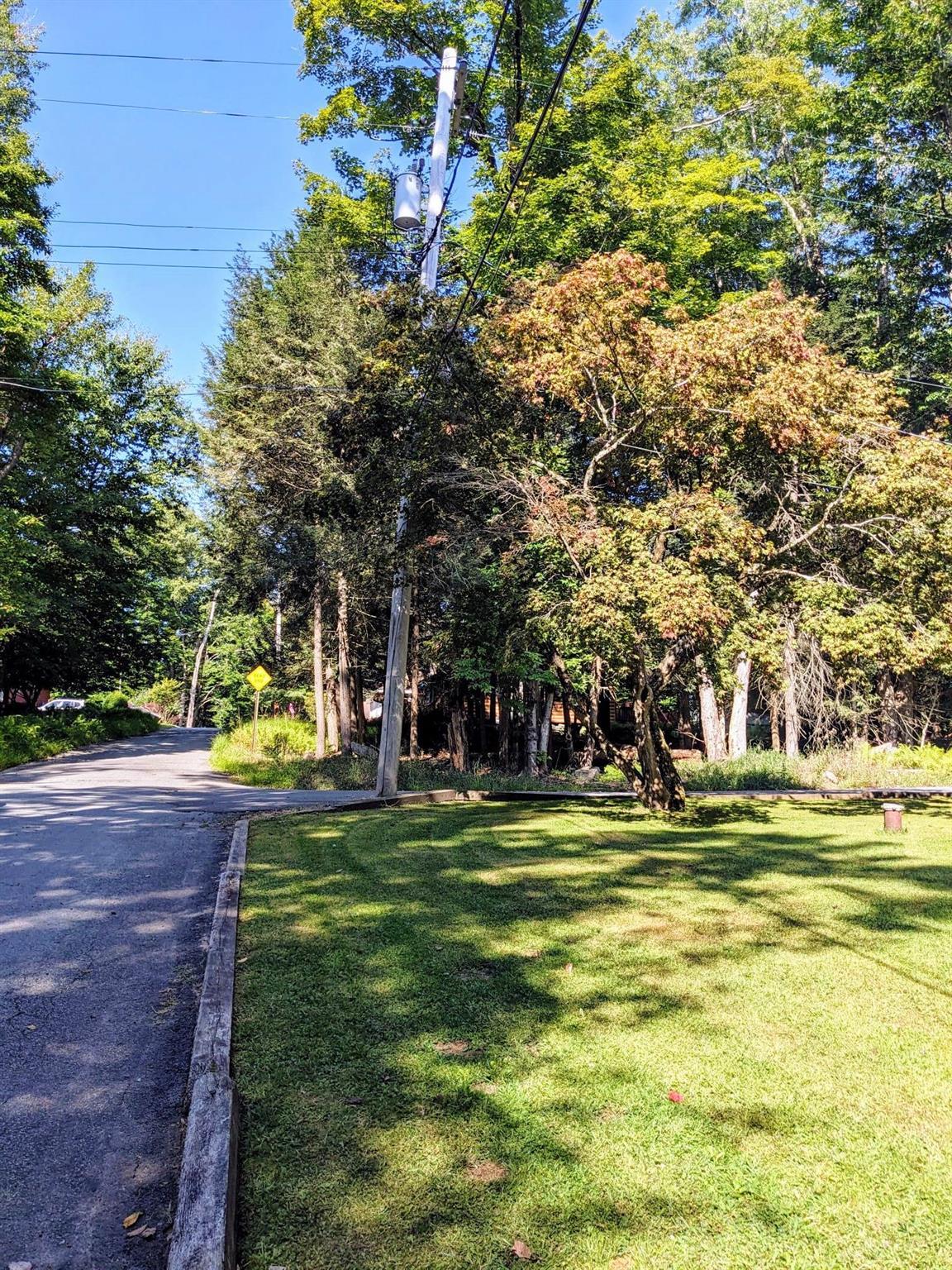 Single Family Reindeer  Sullivan County, NY 12778, MLS-856461-28