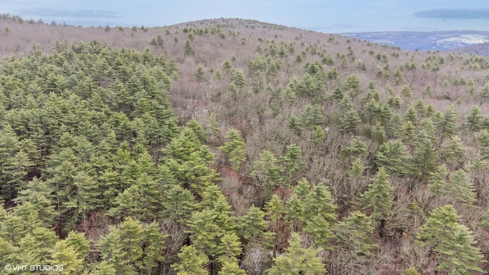 Single Family State Route 55  Ulster County, NY 12458, MLS-856484-41