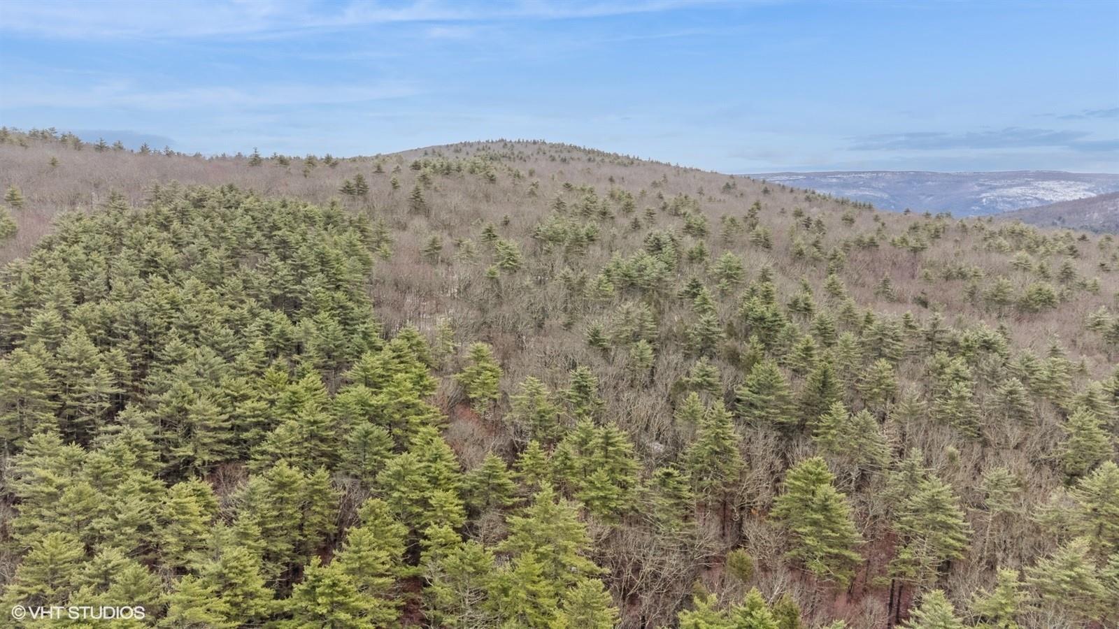 Single Family State Route 55  Ulster County, NY 12458, MLS-856484-42