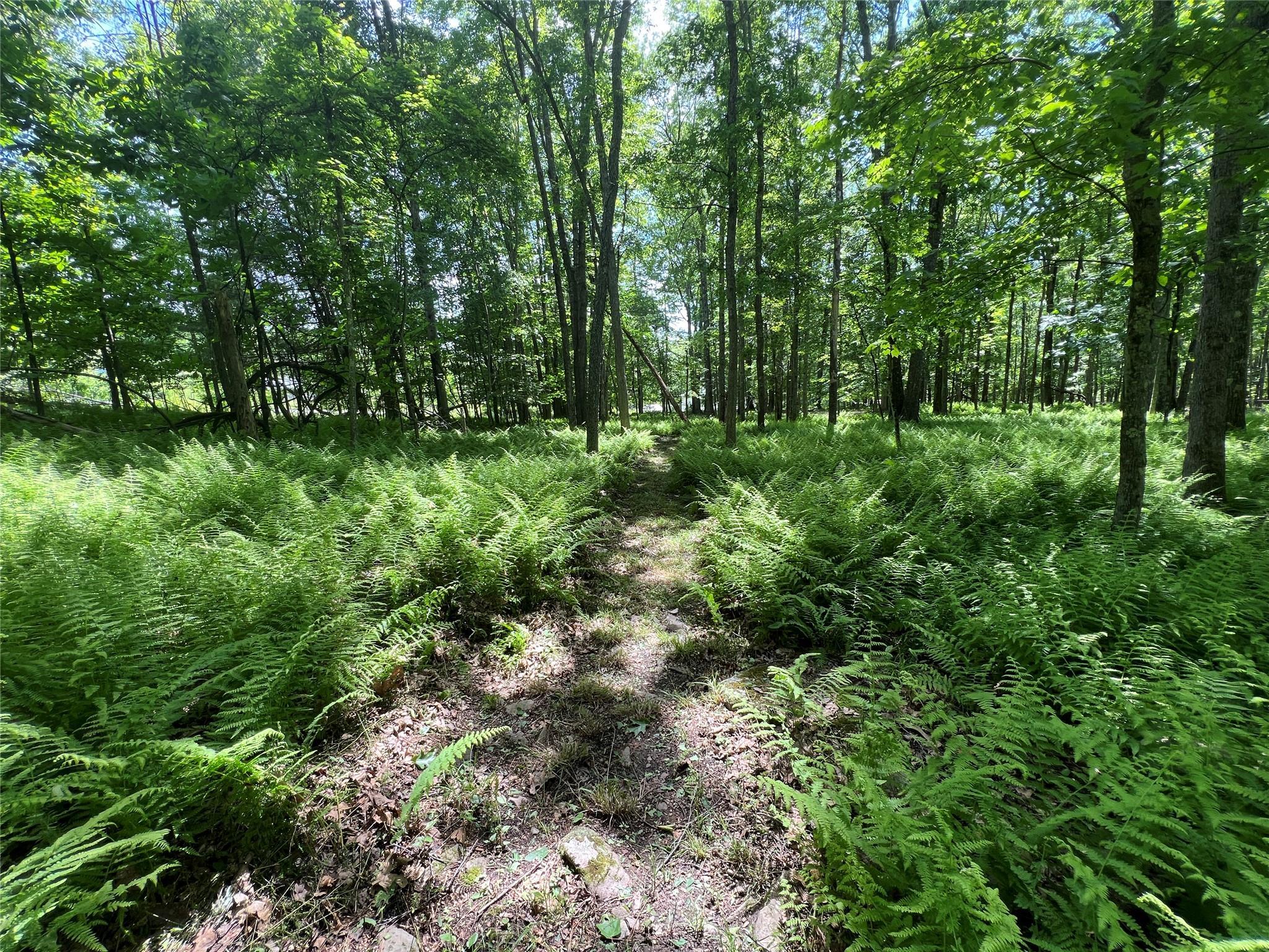 Single Family Perry Pond  Sullivan County, NY 12764, MLS-856486-24
