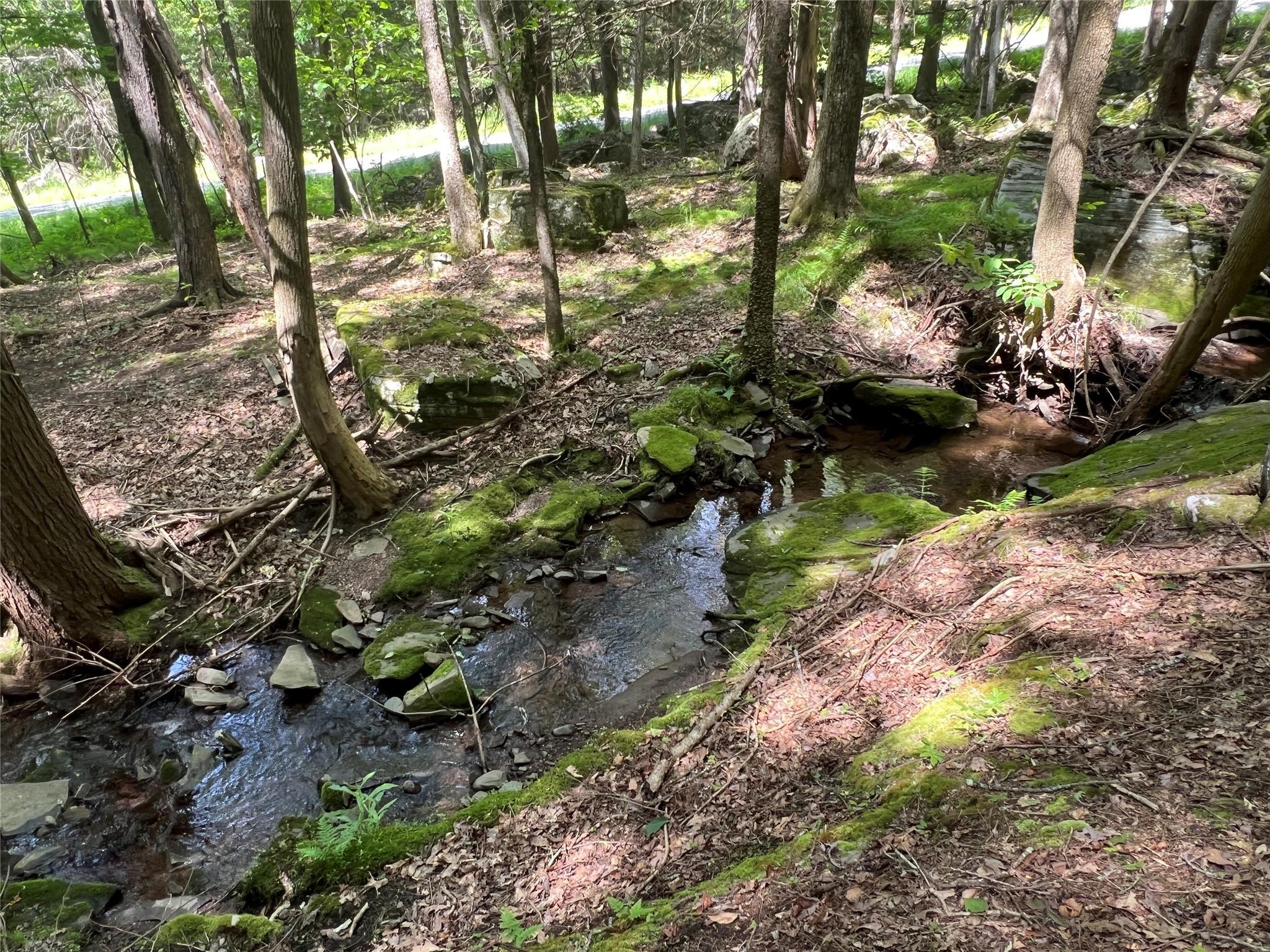 Single Family Perry Pond  Sullivan County, NY 12764, MLS-856486-25