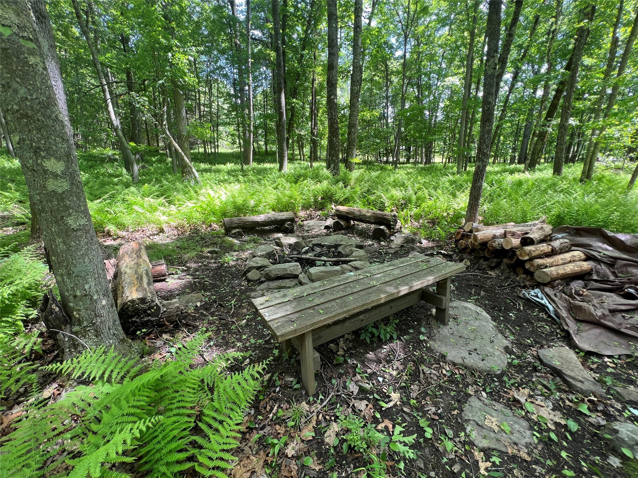 Single Family Perry Pond  Sullivan County, NY 12764, MLS-856486-27