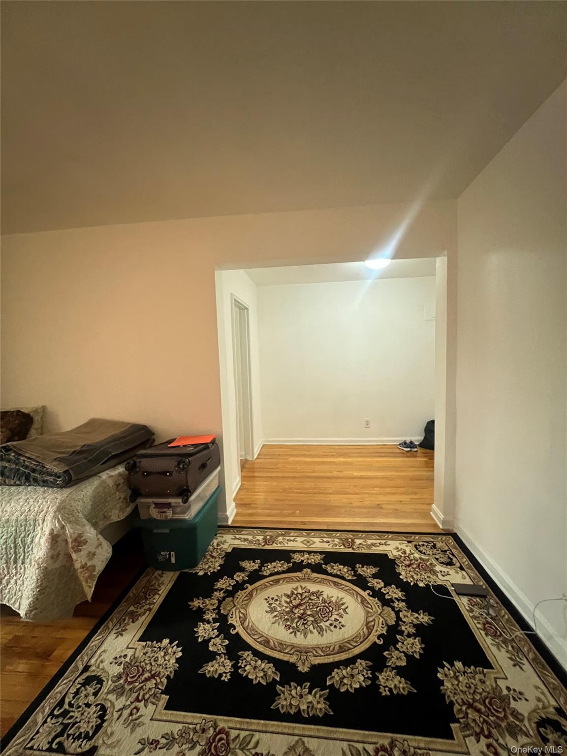 Coop Manton  Queens, NY 11435, MLS-856894-13