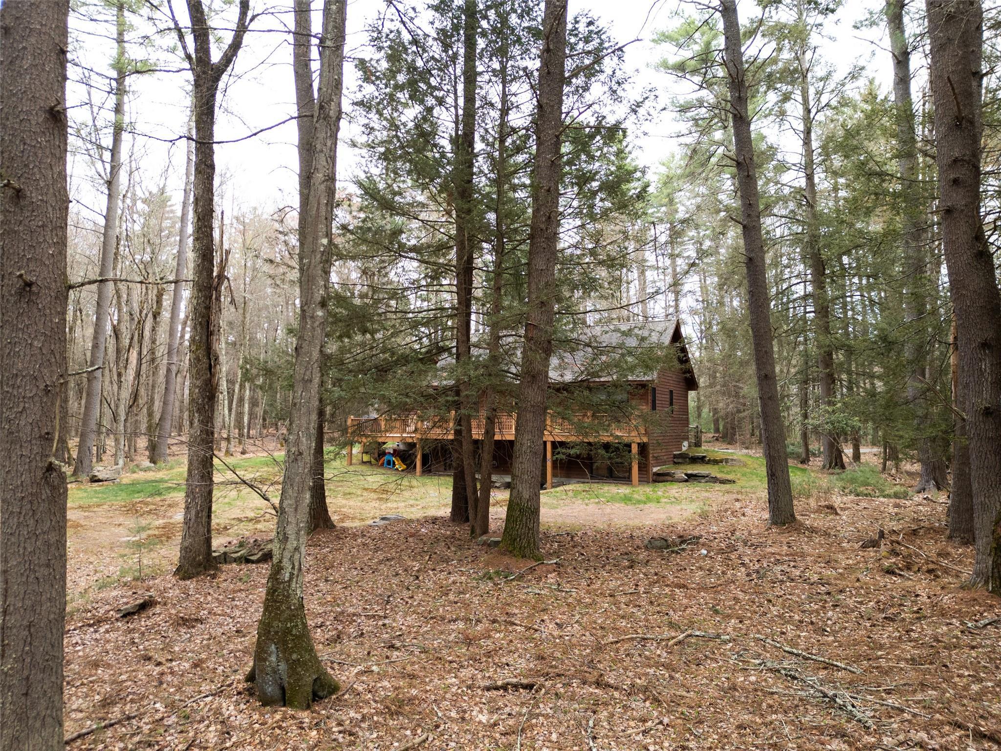 Single Family Chapin  Sullivan County, NY 12720, MLS-857486-23