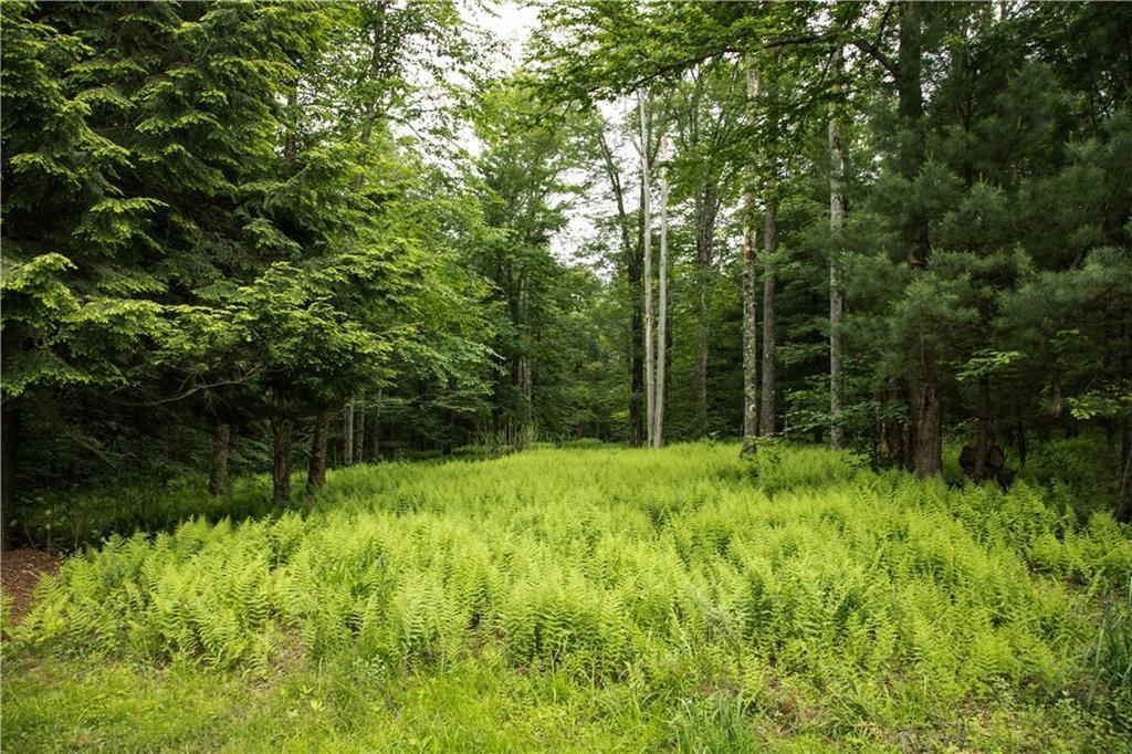 Single Family Chapin  Sullivan County, NY 12720, MLS-857486-27