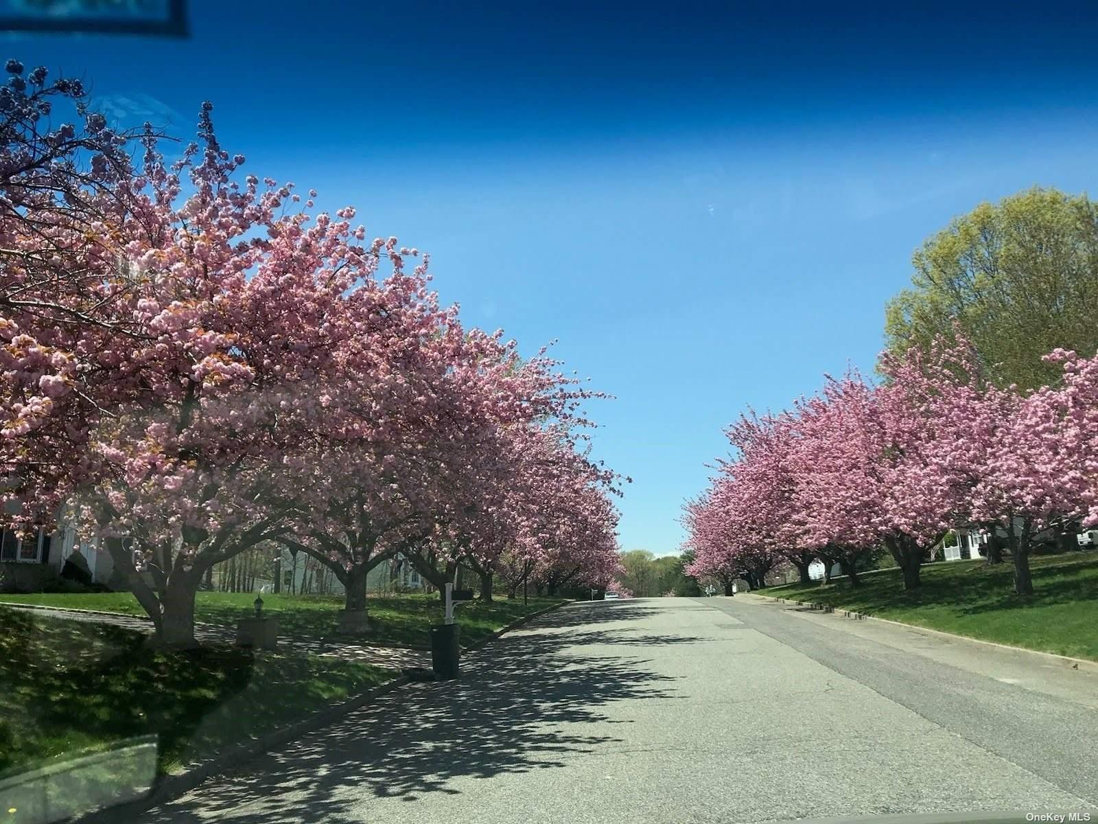 Single Family Victoria  Suffolk County, NY 11949, MLS-857638-33