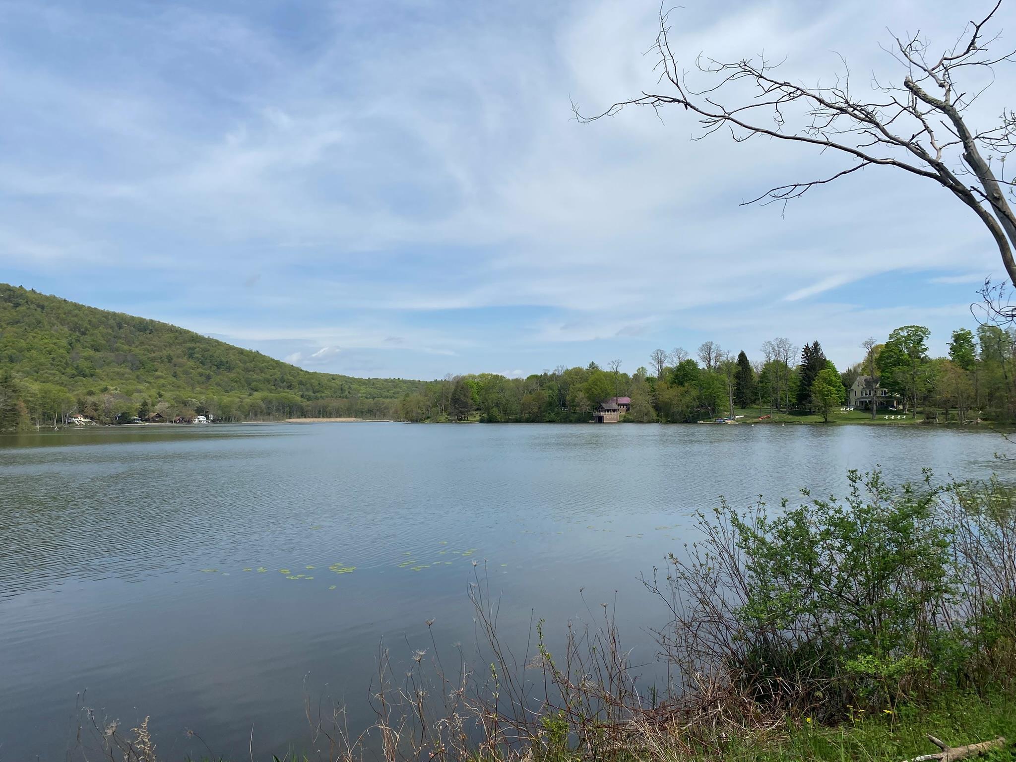 Single Family Woodside  Dutchess County, NY 12567, MLS-857691-23