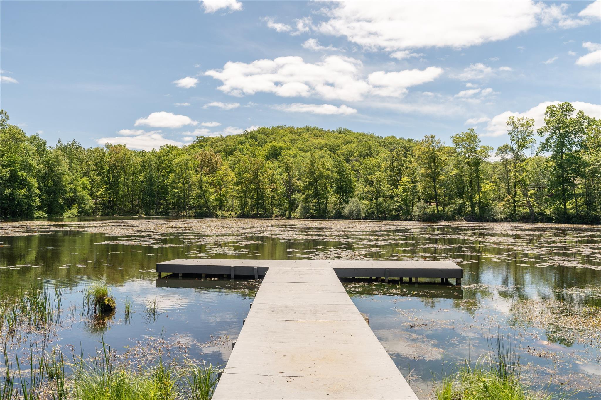 Single Family Eagle Valley  Rockland County, NY 10974, MLS-857947-49