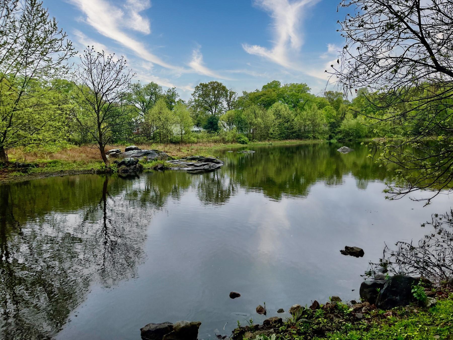 Single Family Wintergreen  Orange County, NY 12550, MLS-858156-6