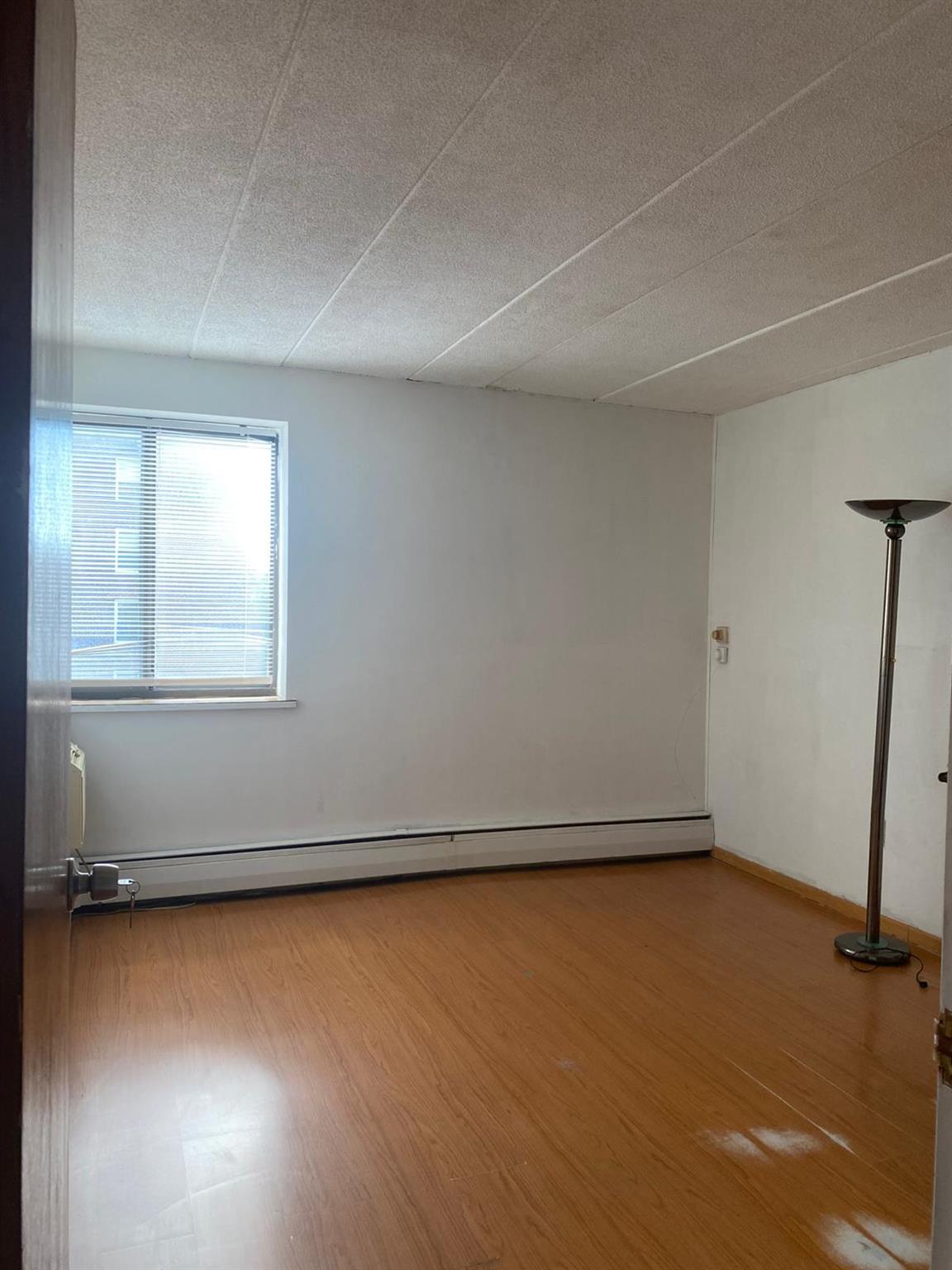 Condo Maple  Queens, NY 11355, MLS-858270-10