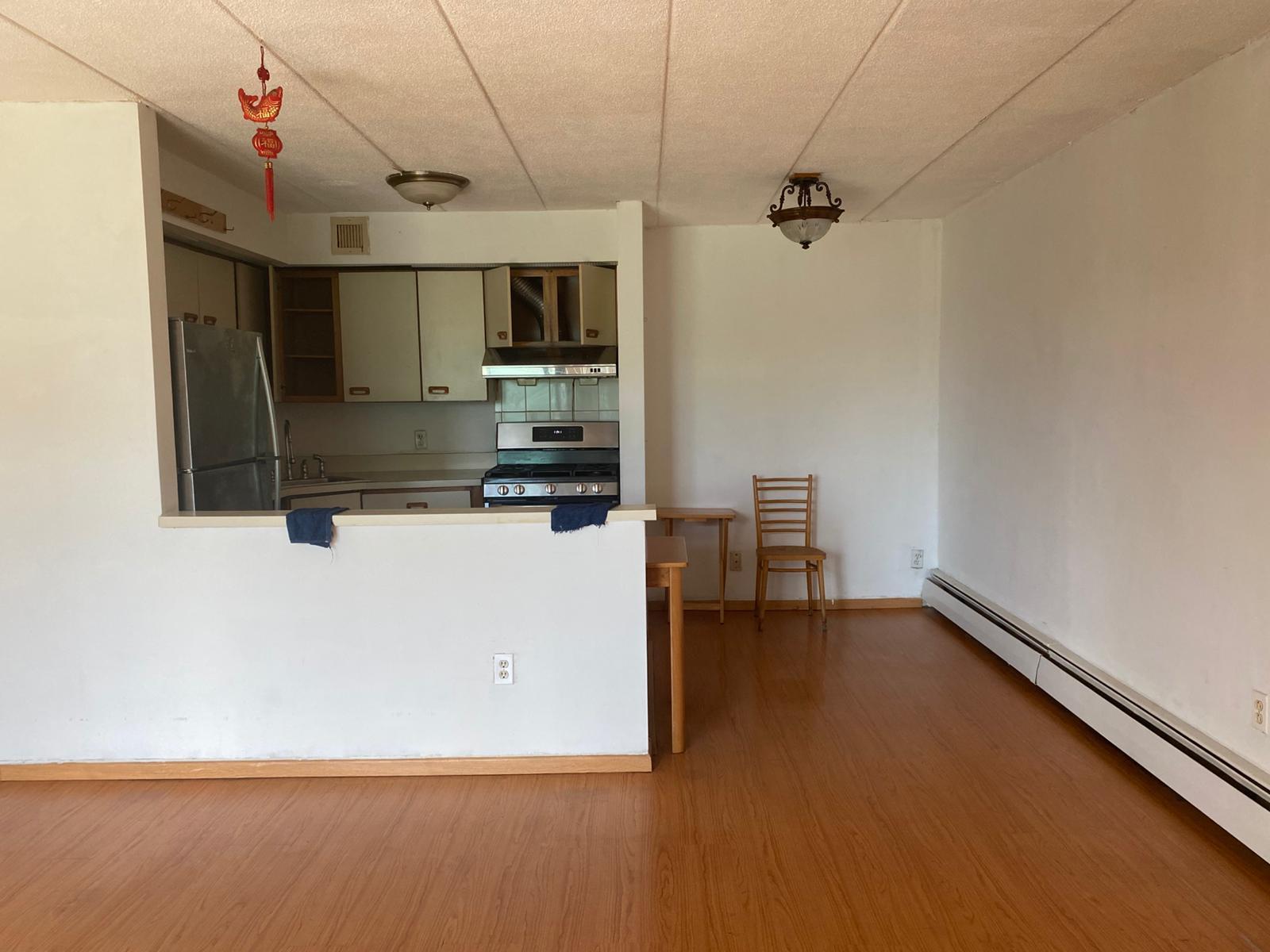 Condo Maple  Queens, NY 11355, MLS-858270-13