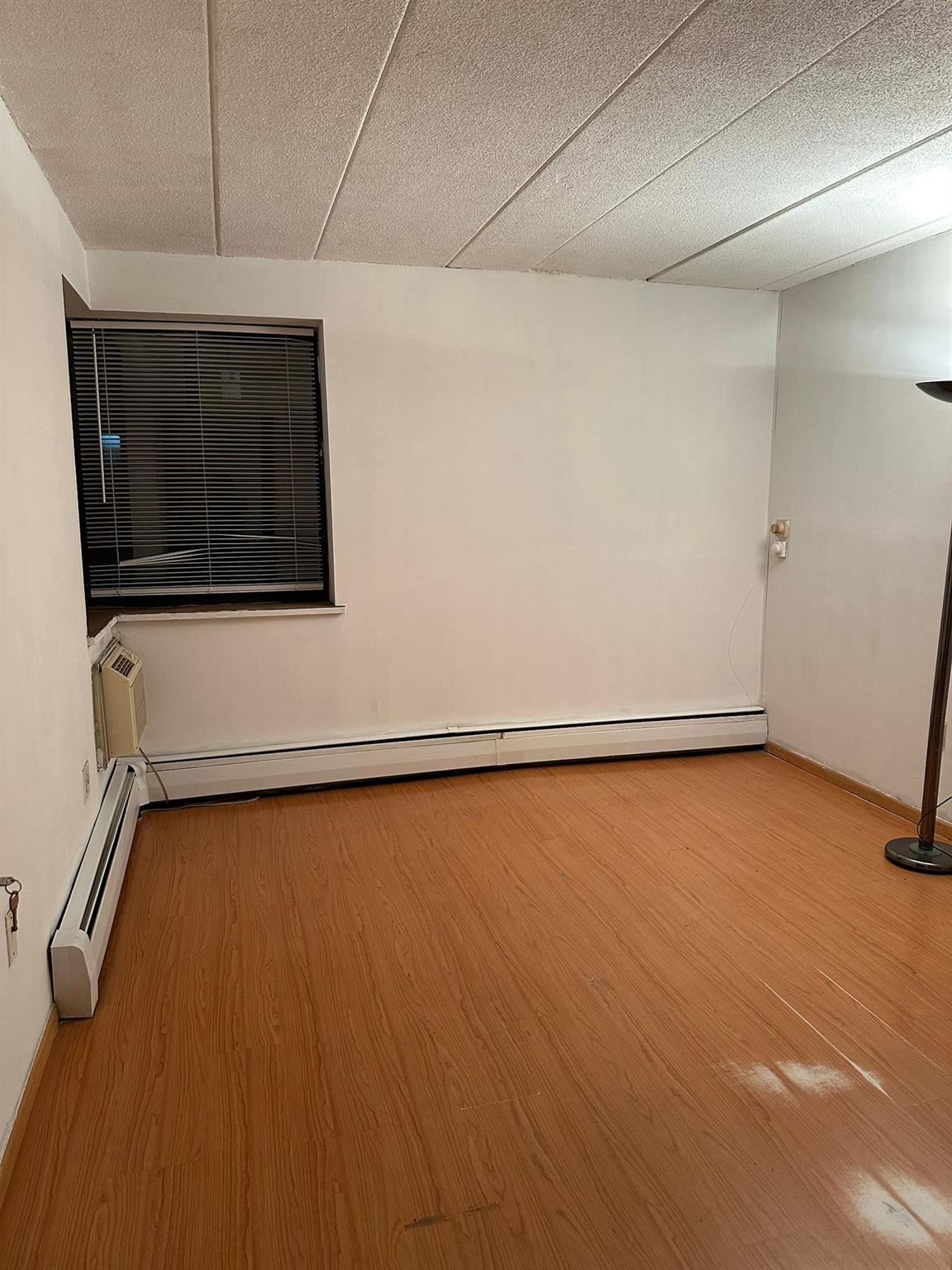 Condo Maple  Queens, NY 11355, MLS-858270-3