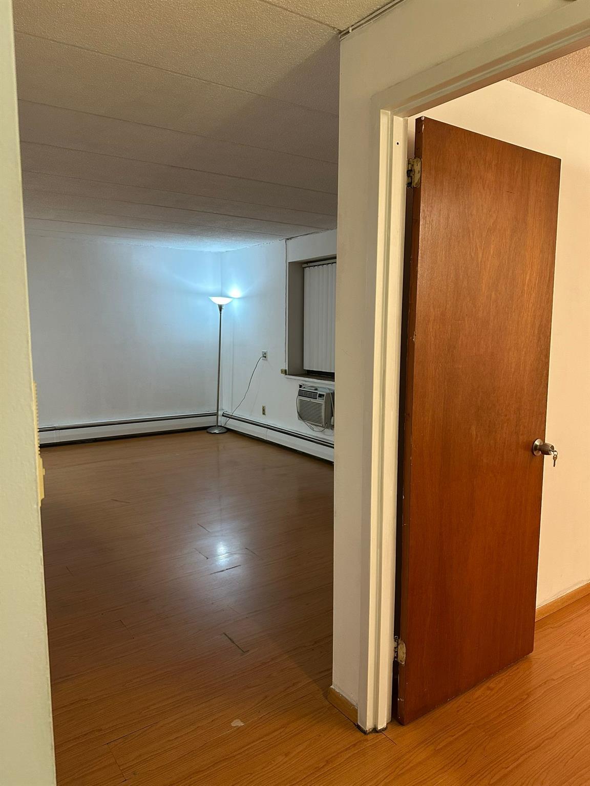 Condo Maple  Queens, NY 11355, MLS-858270-5