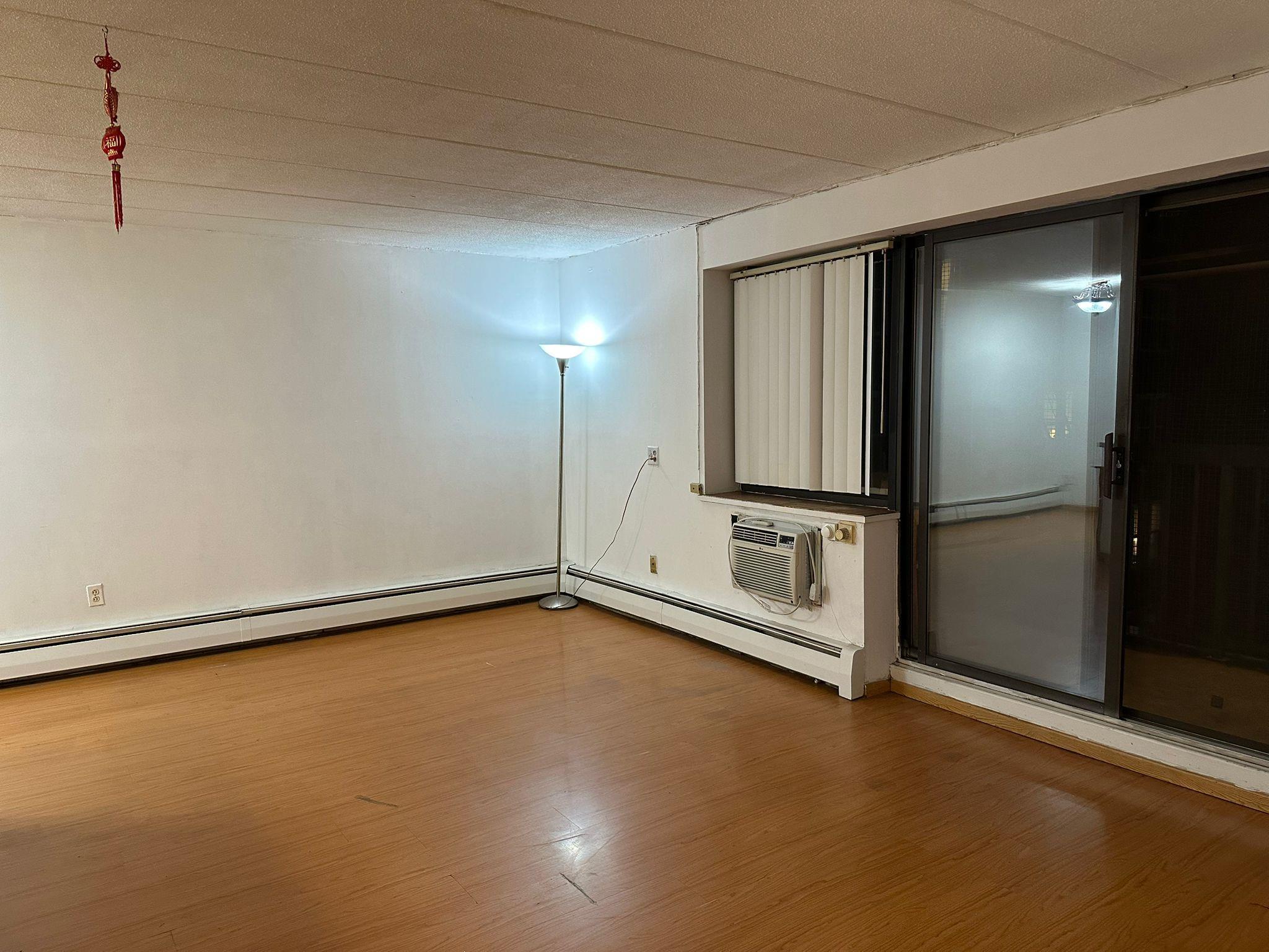 Condo Maple  Queens, NY 11355, MLS-858270-6