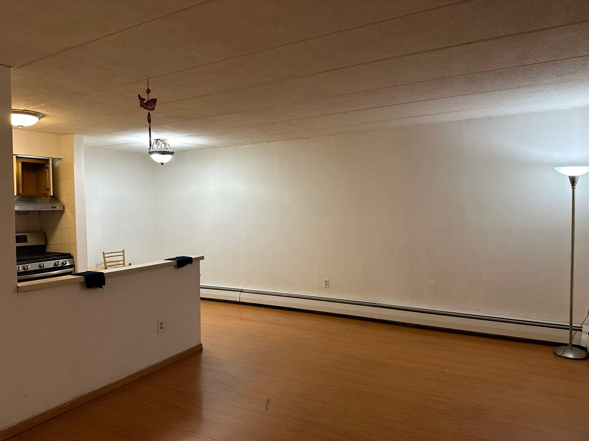 Condo Maple  Queens, NY 11355, MLS-858270-7