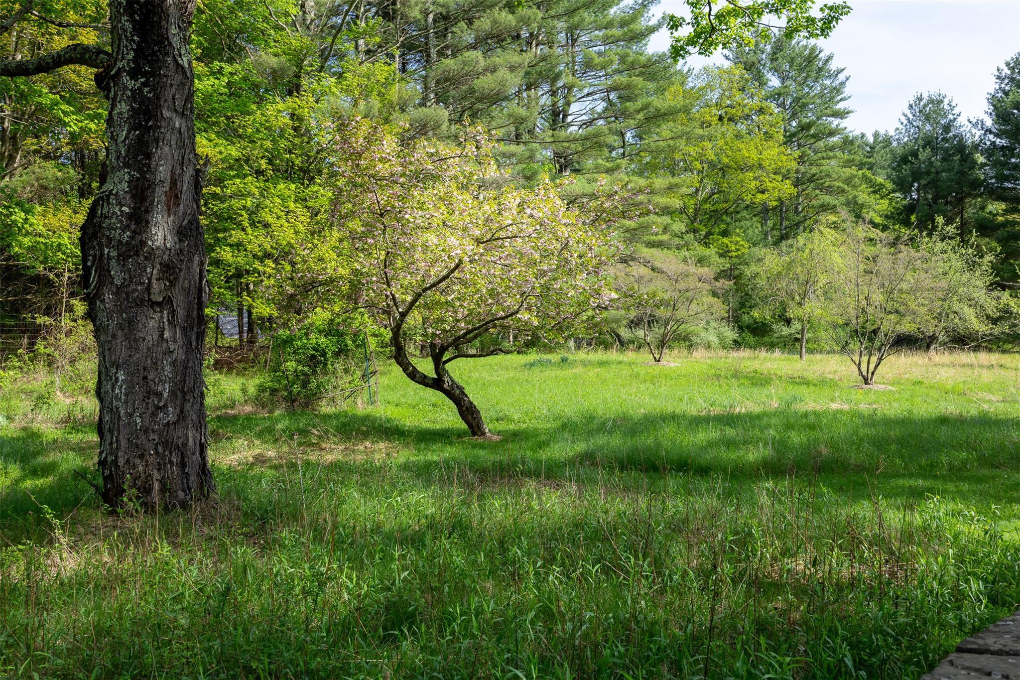 Single Family Louie  Ulster County, NY 12498, MLS-858303-24
