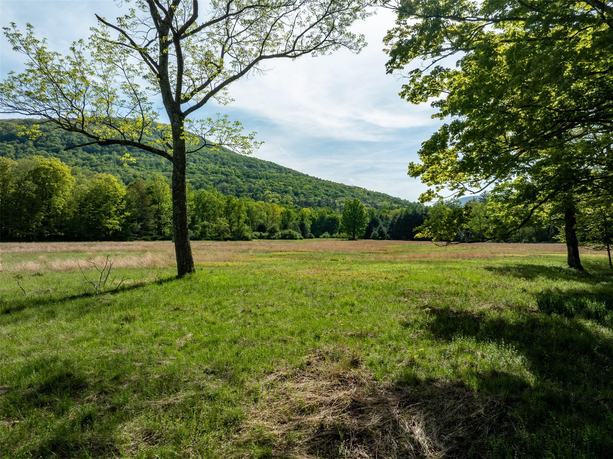 Single Family Louie  Ulster County, NY 12498, MLS-858303-4