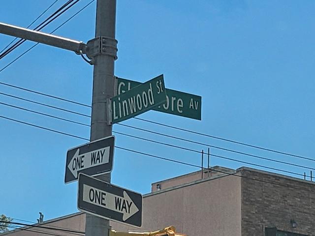 Land Linwood  Brooklyn, NY 11208, MLS-858539-5