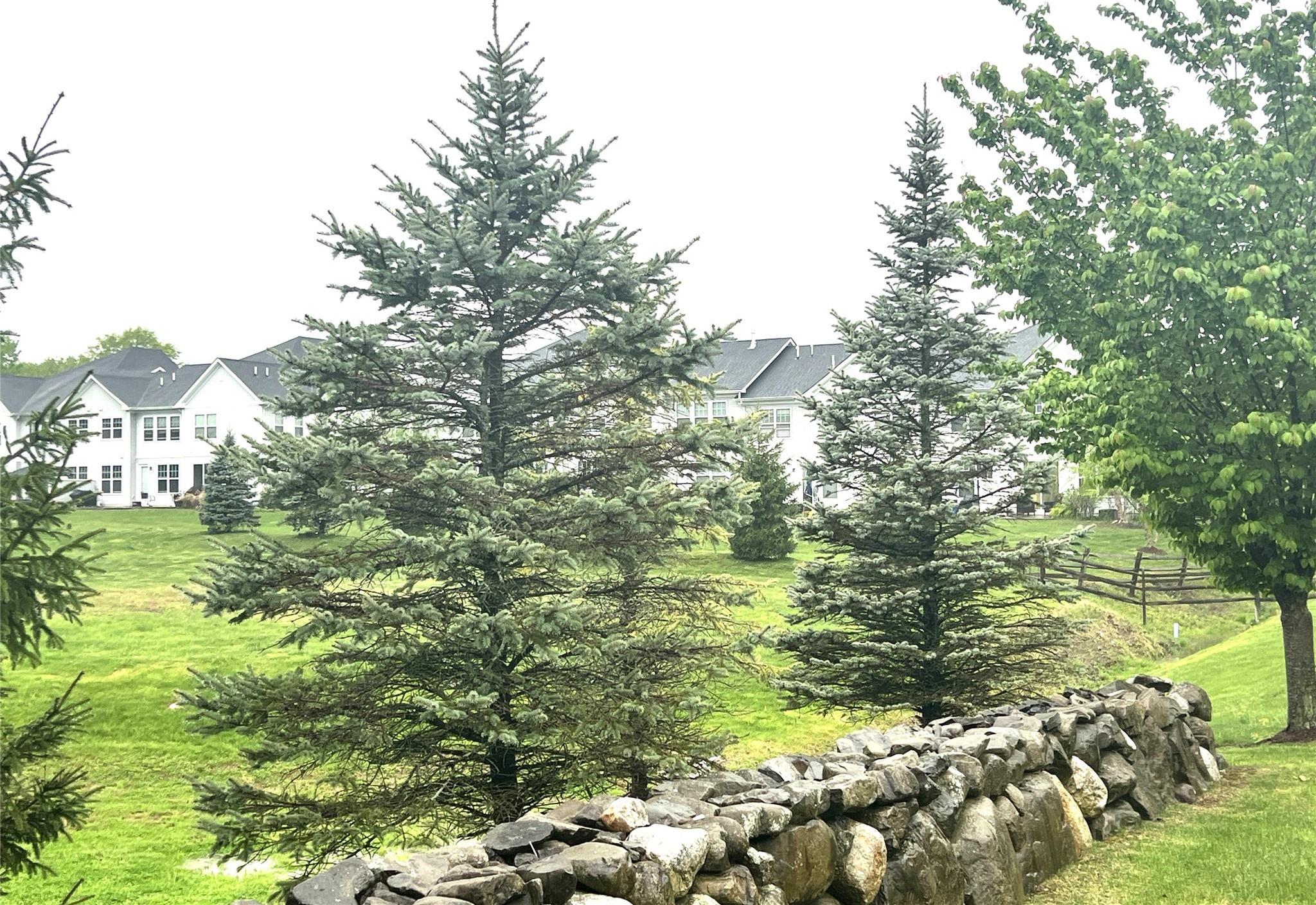 Single Family Meadow View  Orange County, NY 10940, MLS-858563-29