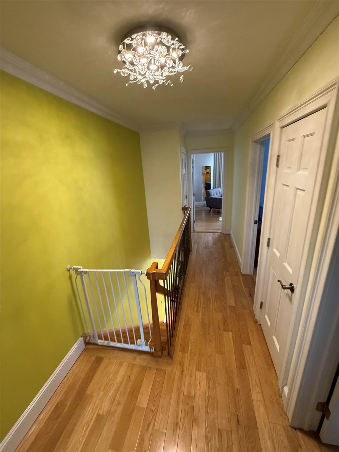 Single Family Penelope  Queens, NY 11379, MLS-858906-20