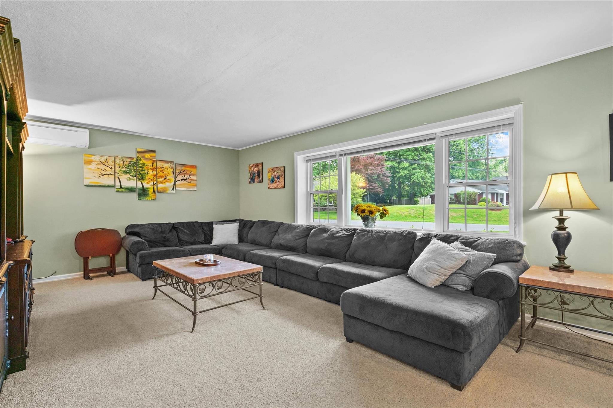 Single Family Idlewild Park  Orange County, NY 12520, MLS-858948-8