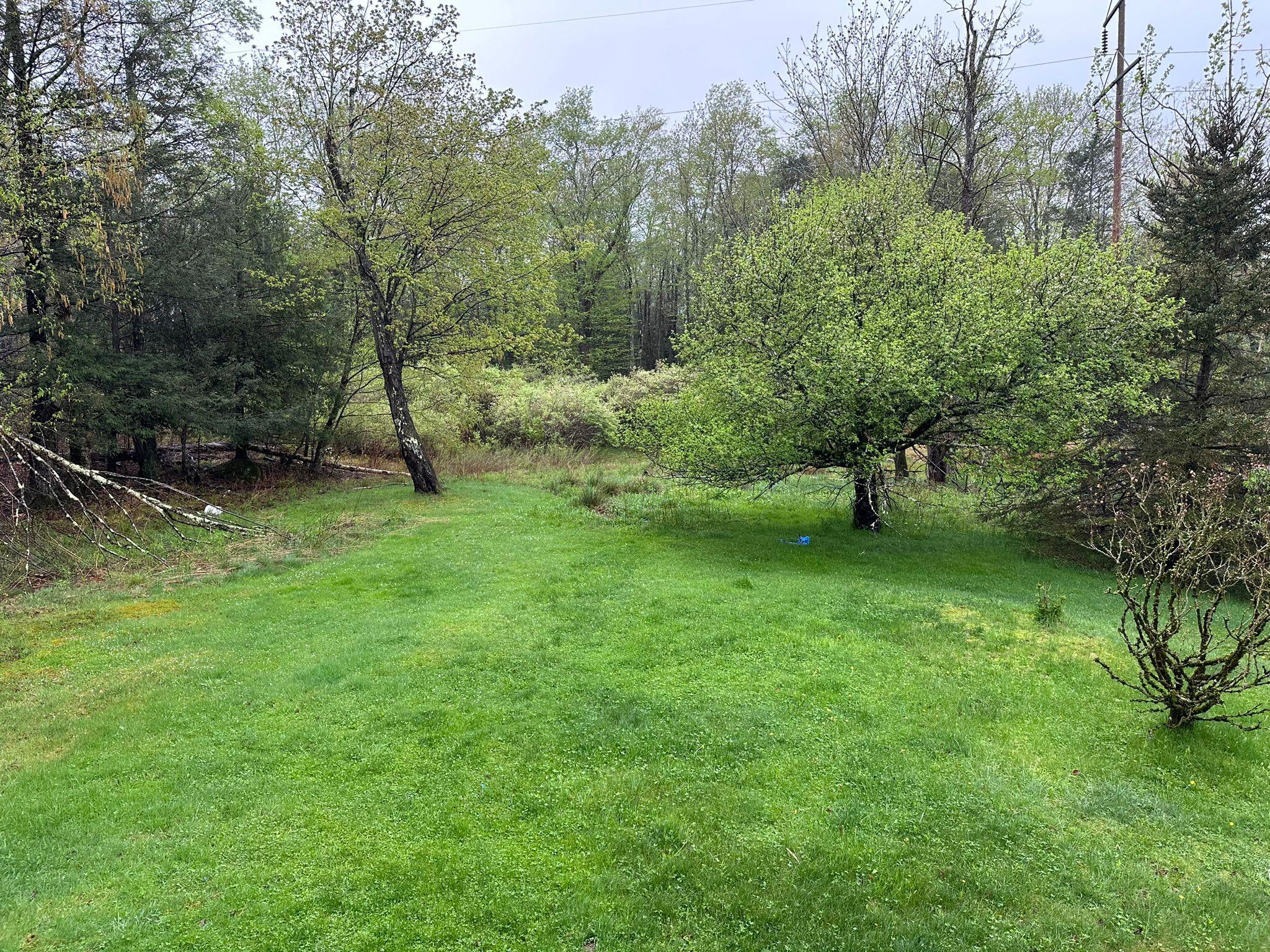Single Family Pond  Sullivan County, NY 12789, MLS-858985-3