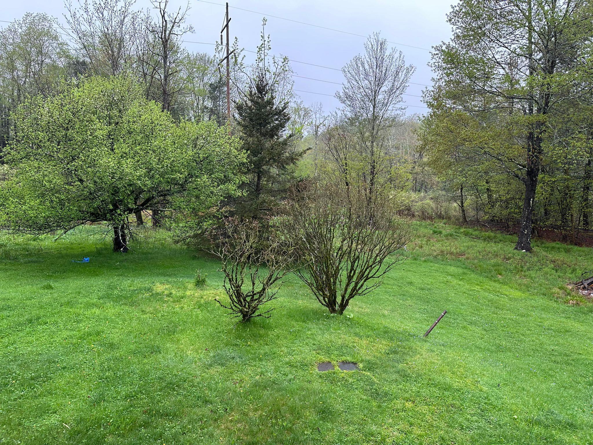 Single Family Pond  Sullivan County, NY 12789, MLS-858985-4