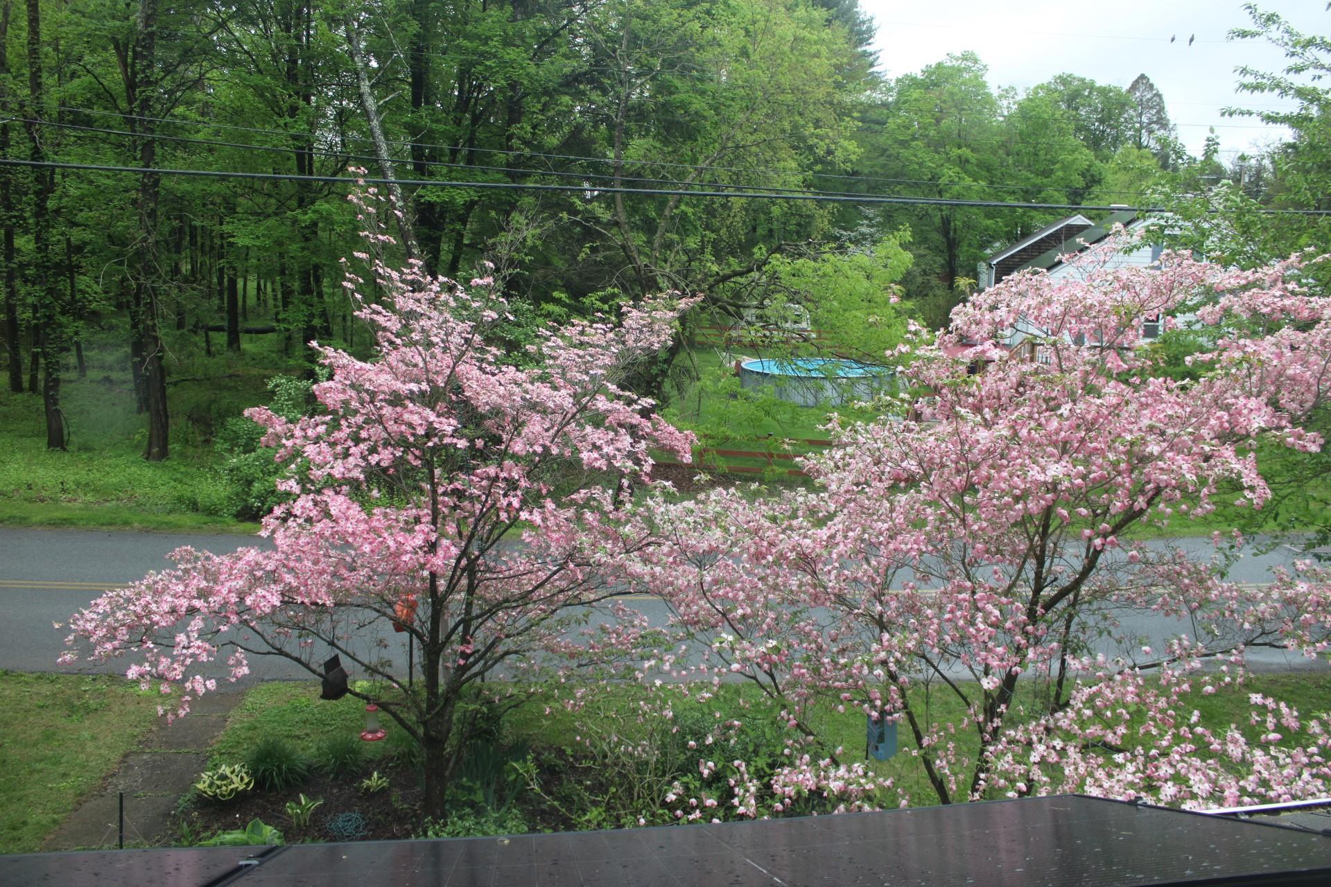 Single Family Overlook  Dutchess County, NY 12603, MLS-859031-28