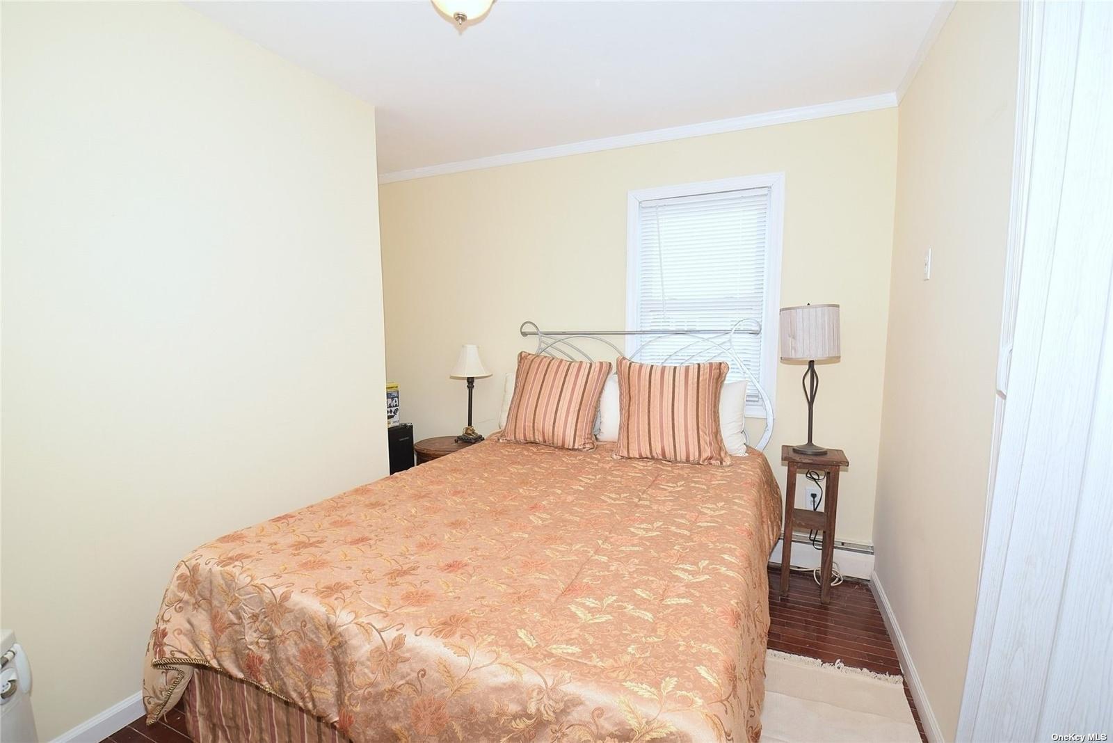 Single Family Colony Drive  Nassau County, NY 11510, MLS-859095-12