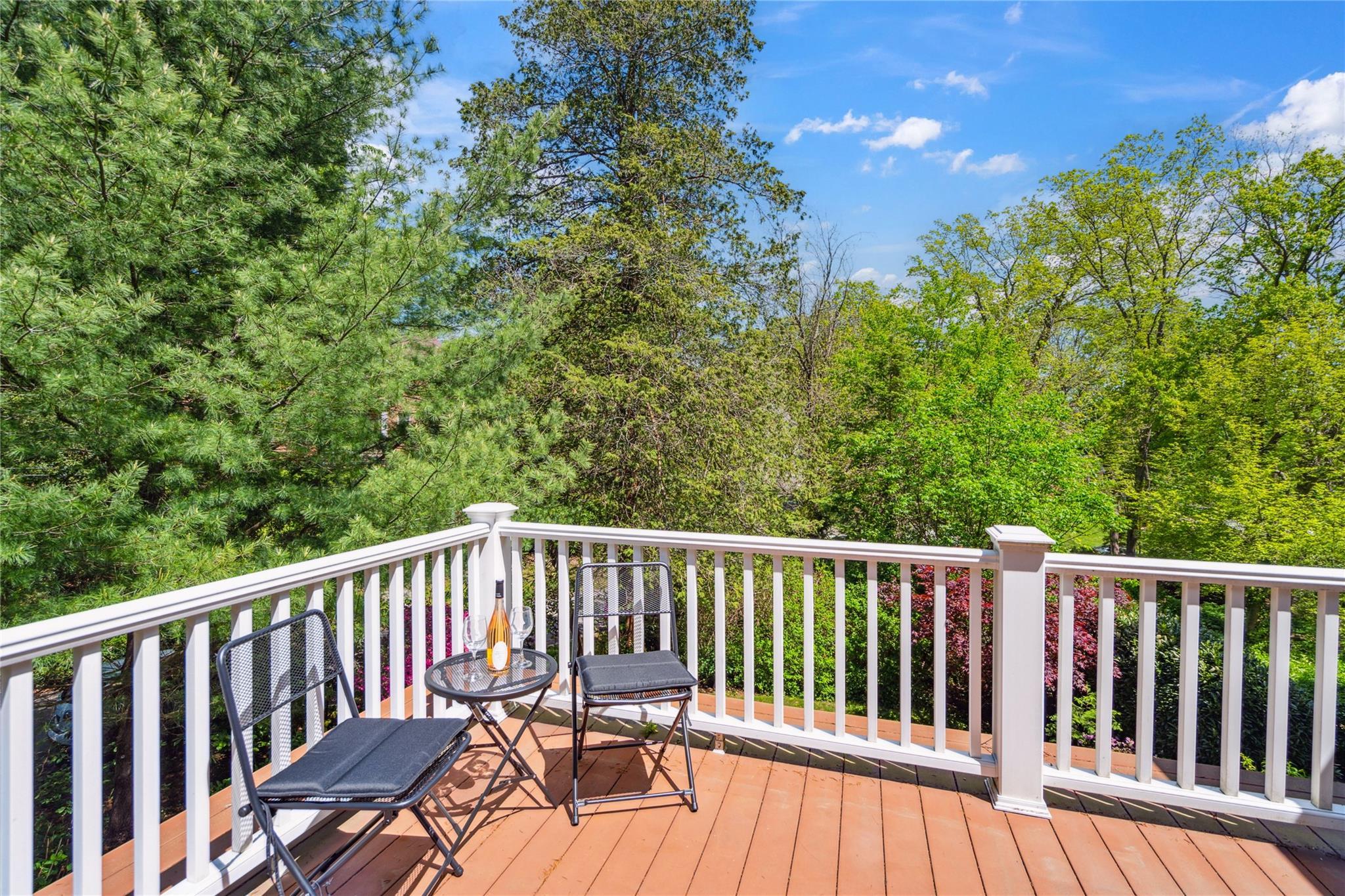 Single Family The Intervale  Nassau County, NY 11576, MLS-859105-21