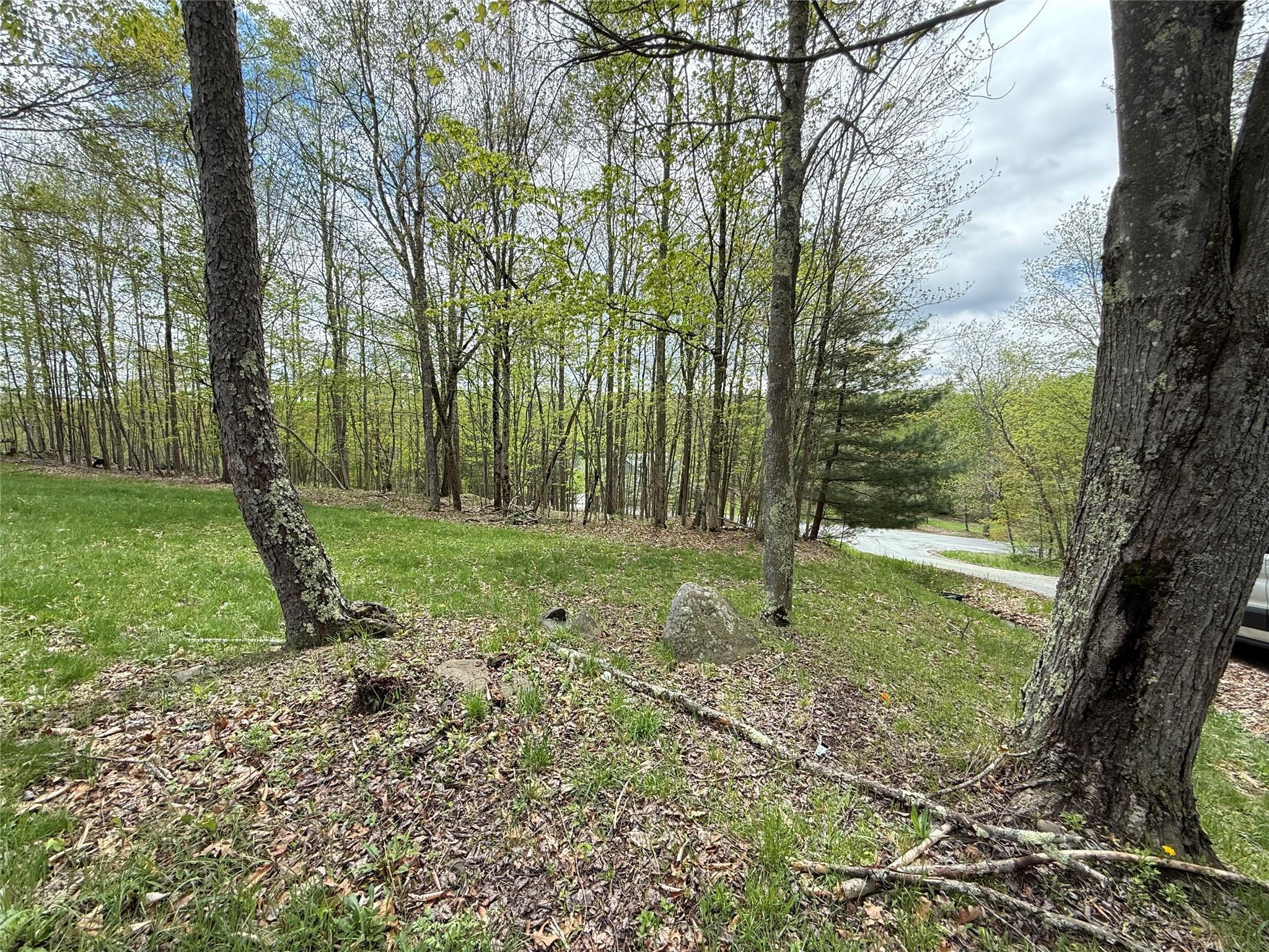 Single Family Pine  Sullivan County, NY 12763, MLS-859293-21