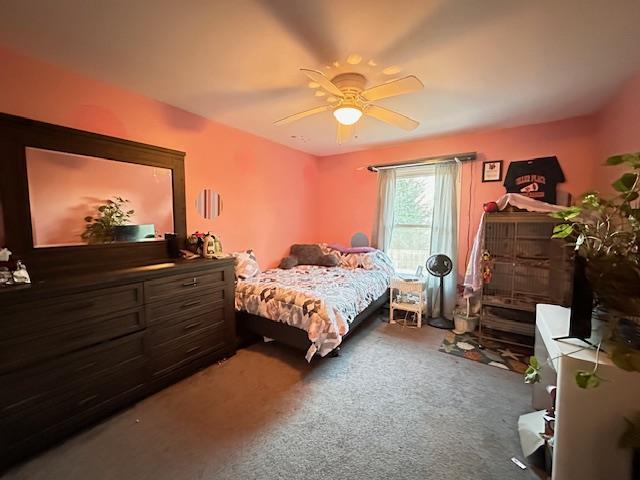 Single Family Deep Valley  Suffolk County, NY 11789, MLS-859353-28