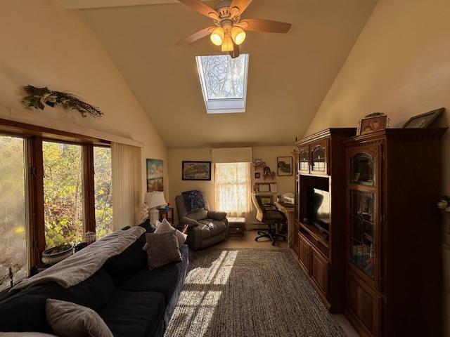 Single Family Deep Valley  Suffolk County, NY 11789, MLS-859353-36