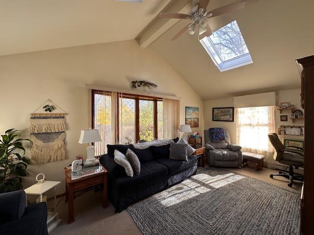 Single Family Deep Valley  Suffolk County, NY 11789, MLS-859353-37