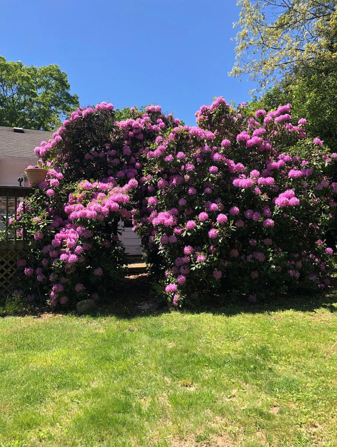 Single Family Chestnut  Suffolk County, NY 11766, MLS-859502-31