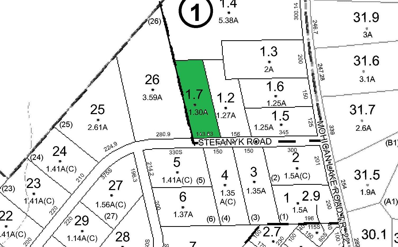 Single Family Stefanyk  Sullivan County, NY 12737, MLS-859546-26