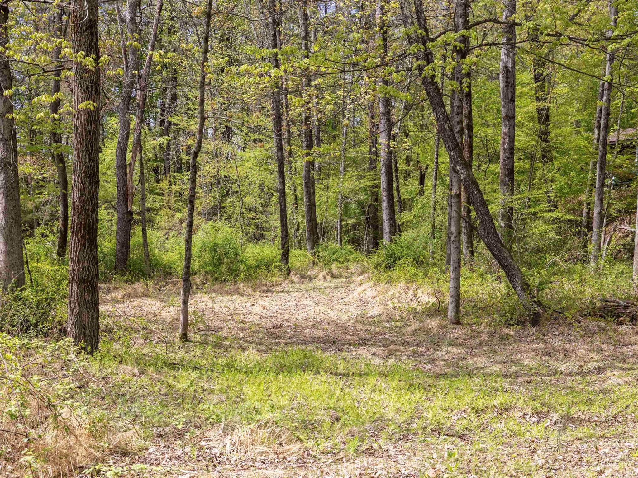 Single Family Atwood  Ulster County, NY 12484, MLS-859807-30