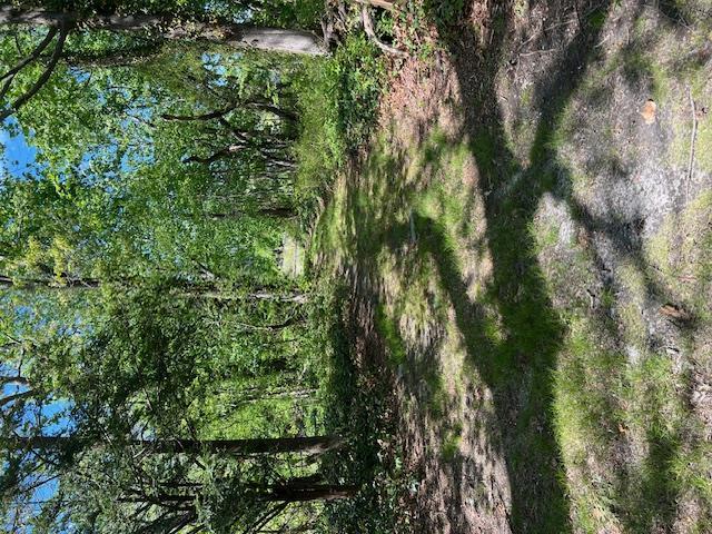 Single Family Railroad  Suffolk County, NY 11947, MLS-859923-17