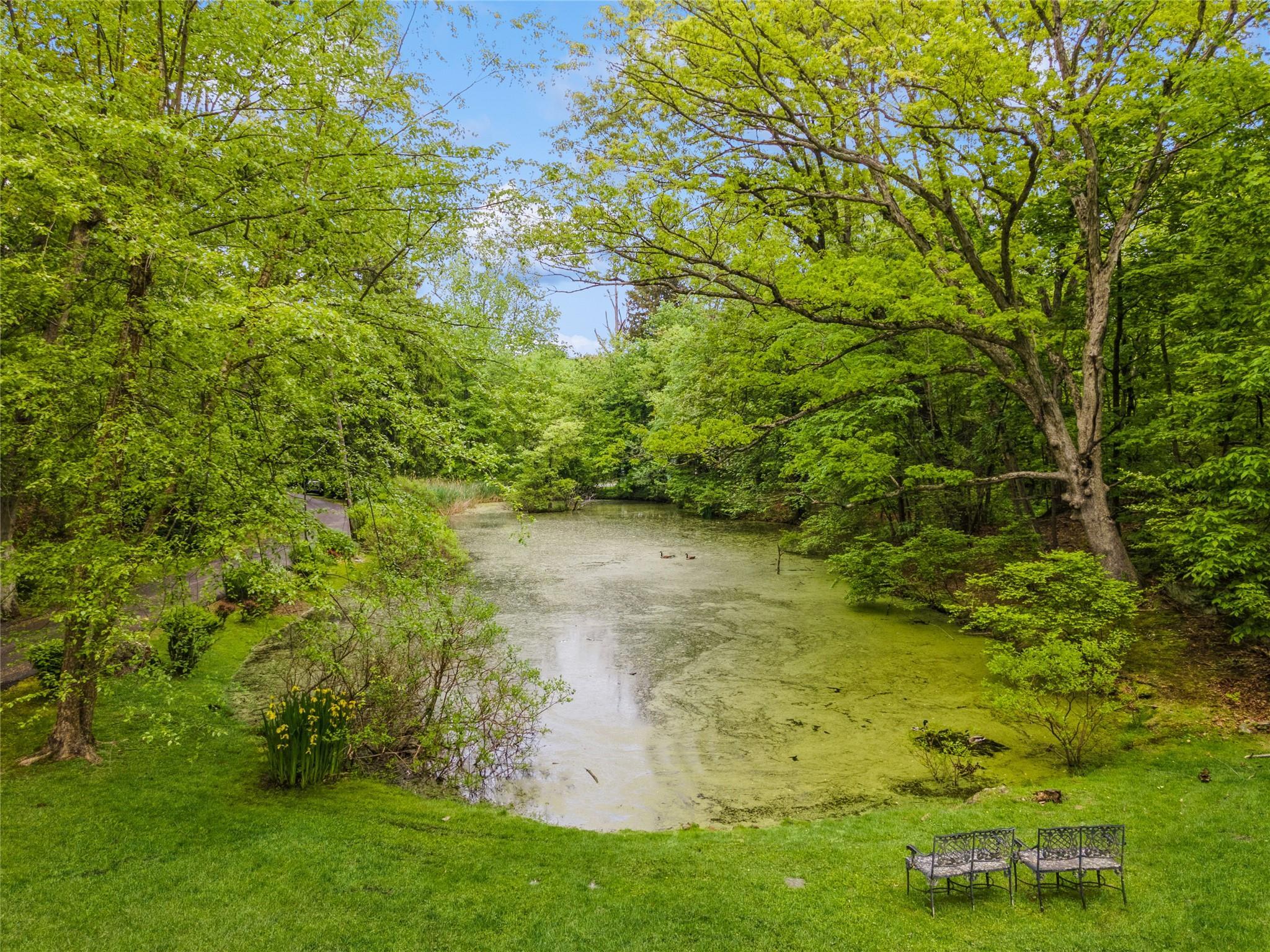 Single Family Hawkes  Westchester County, NY 10562, MLS-859929-31