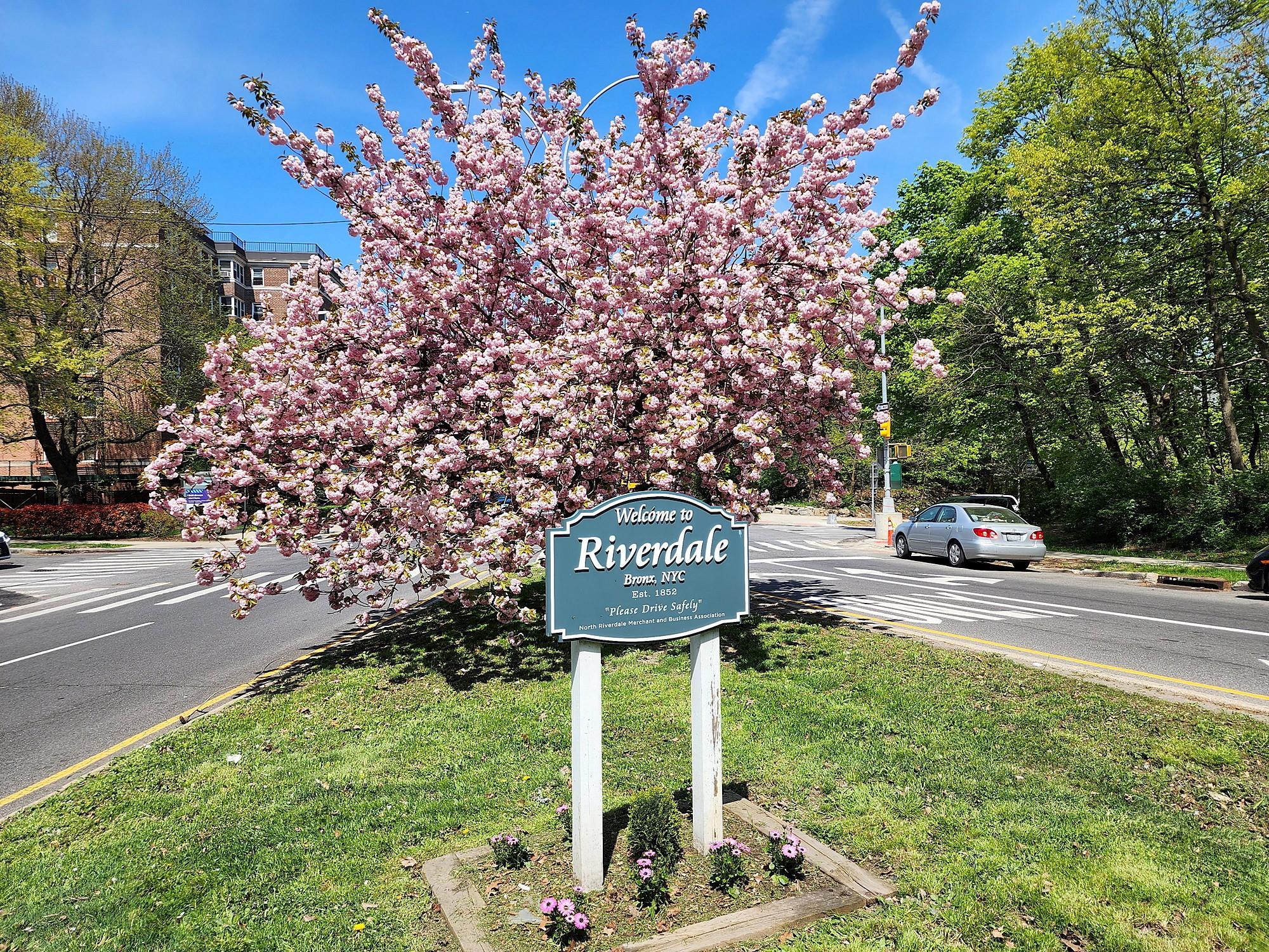Single Family Valles  Bronx, NY 10471, MLS-860317-33