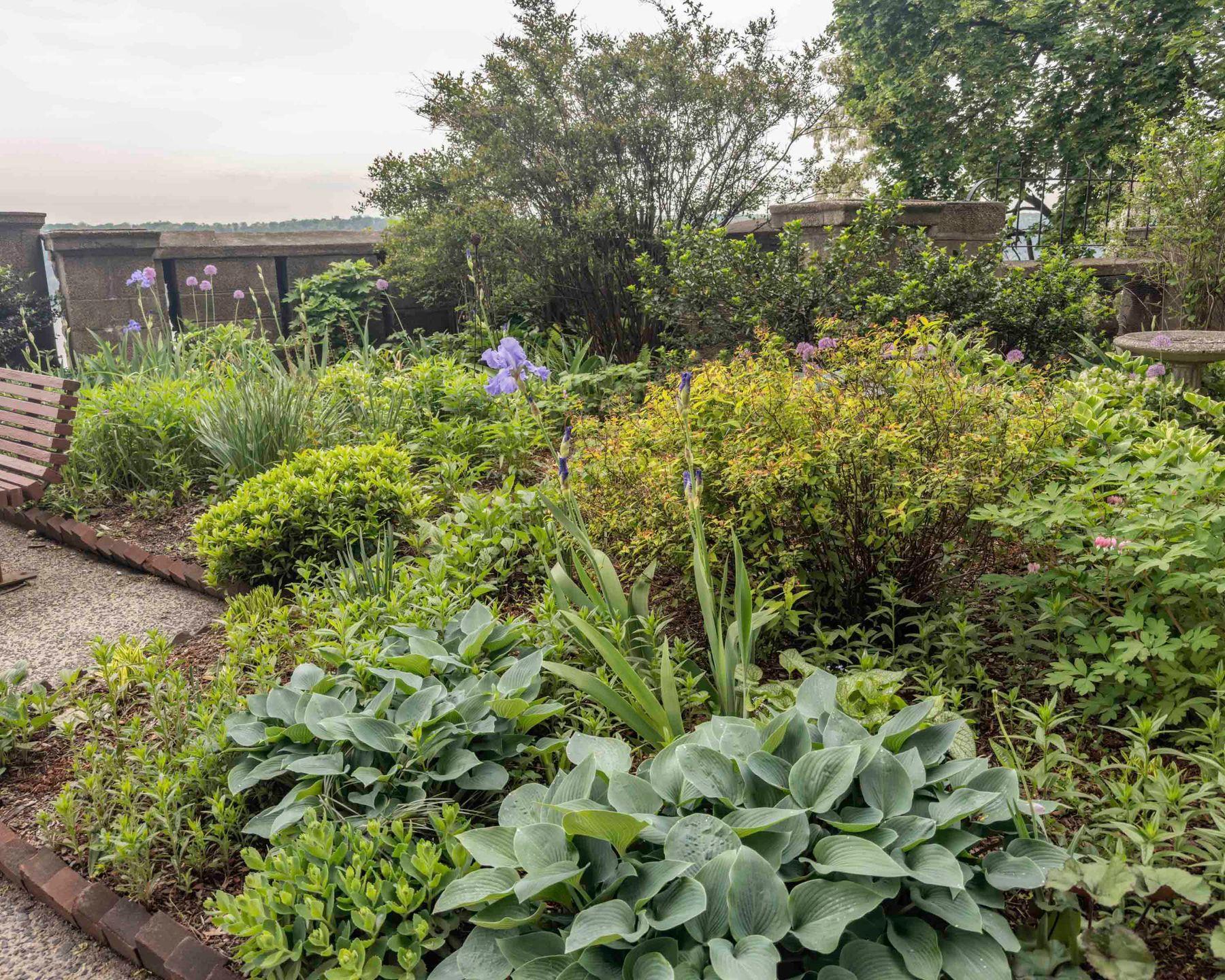 Coop Cabrini Manhattan, NY 10033, MLS-860387-38